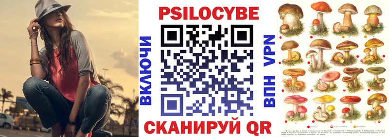 где купить наркоту Тында Галлюциногенные грибы Psilocybine cubensis
